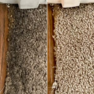 How to Tackle Those Black Lines (Filtration Soil) on Your Carpet. - Pro ...