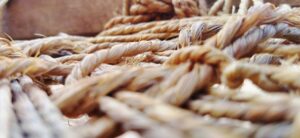 Jute is a plant fiber that is in the top two cultivated crops globally.