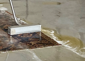 Urine damage needs to be addressed in a drop-off rug cleaning facility like a rug plant.