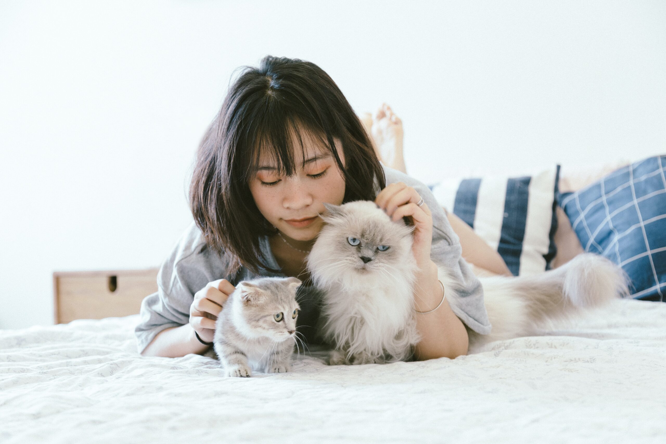 No matter how much we love them, cats leave behind a particularly strong urine on rugs and carpet.