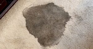 How to tell a spot from a stain and rescue your carpet.
