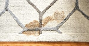 Pet spots can quickly become stains if left unaddressed.