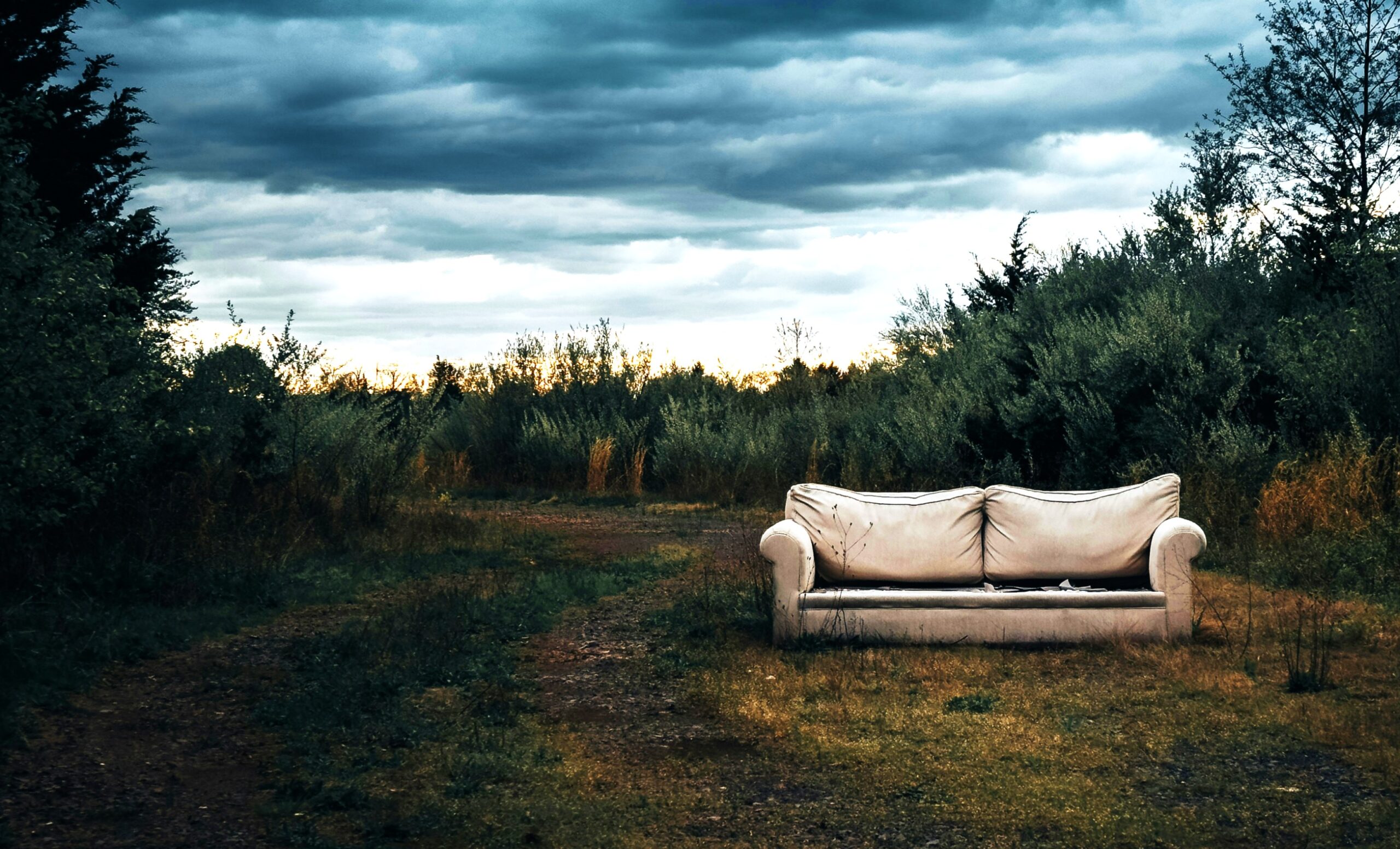 Living in a disposable culture means creating waste at the expense of the environment.