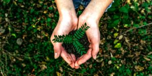 Environmental sustainability is one of the three pillars.