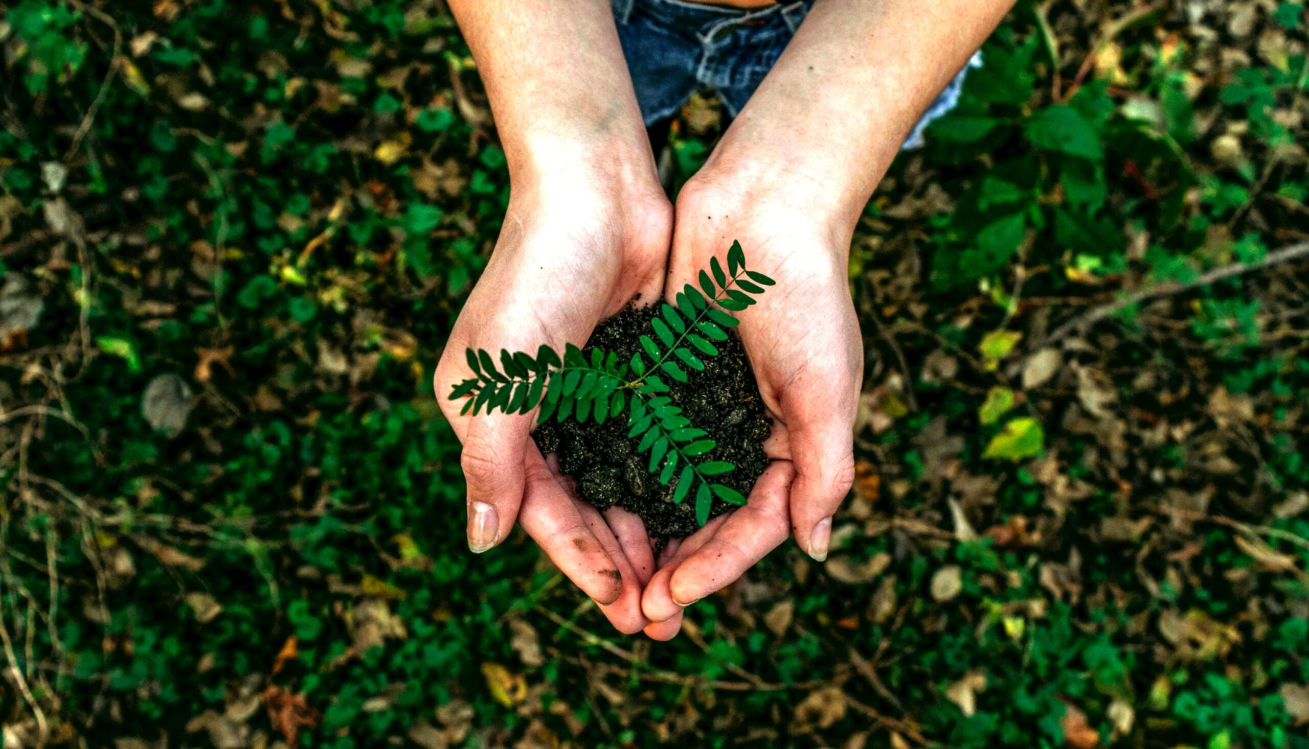 Environmental sustainability is one of the three pillars.