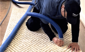 Problem fibers like sisal are easily damaged and needs gentle, low-impact care.