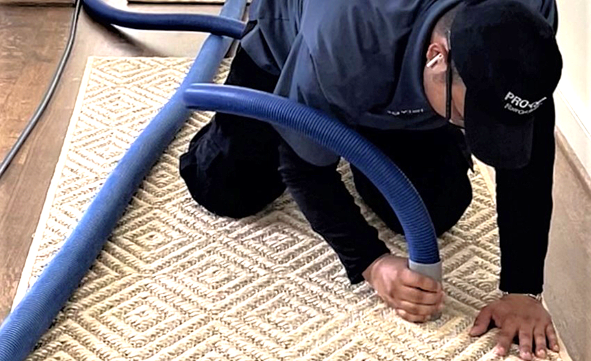 Problem fibers like sisal are easily damaged and needs gentle, low-impact care. 